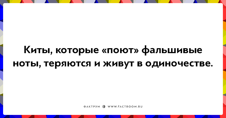 20 неожиданных фактов, которые на самом деле чистая правда