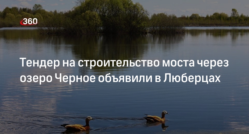 Тендер на строительство моста через озеро Черное объявили в Люберцах