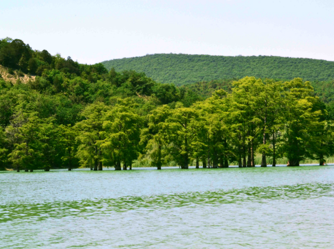 В своем отечестве: аналоги мировых чудес в России В своем отечестве: аналоги мировых чудес в России достопримечательности,интересное,путешествия,Россия