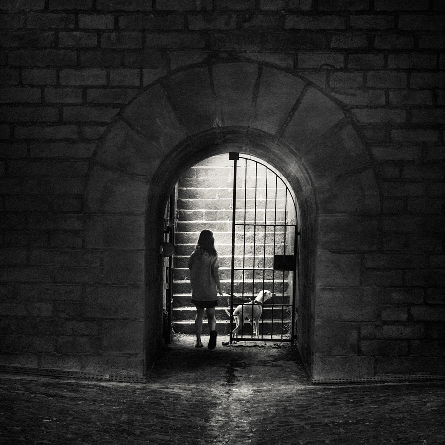 light by Sylvain Pesquer on 500px.com