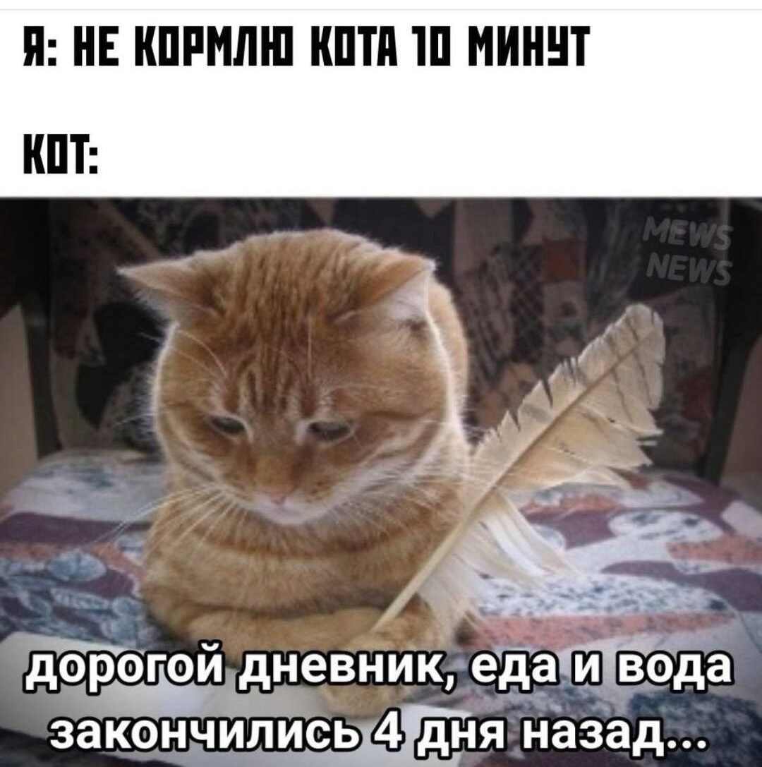 - Михалыч, бухаем сегодня?  - А в честь чего?... Весёлые,прикольные и забавные фотки и картинки,А так же анекдоты и приятное общение