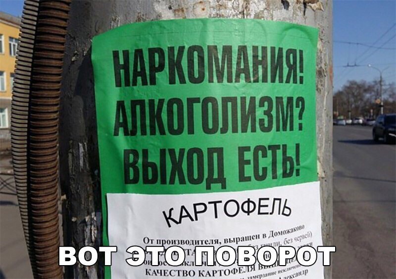 Забавные жизненные надписи к картинкам и фотография со смыслом Забавные жизненные надписи к картинкам и фотография со смыслом