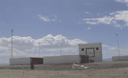 Смешные и веселые гифки для настроения 