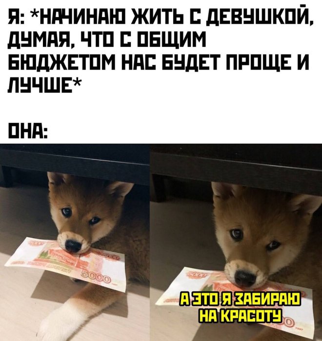 Сделав умное лицо, молчи, не выдавай себя словами! Сделав умное лицо, молчи, не выдавай себя словами!