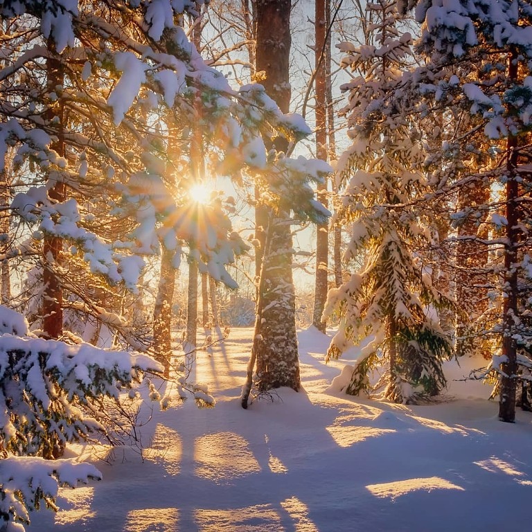 Адольф собака, Бабушка, бабушка, зовут, очень, лучше, сутулится, через, лифте, точно, расстраиваюсь, участковый, утверждает, участковому, удачеА, верюКогда, хочет, когото, понюхать, громко