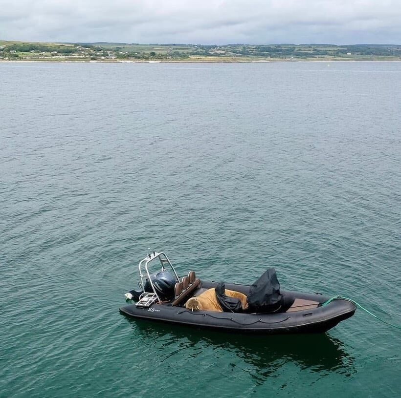 Фото: irelandsoutheast//instagram.com
