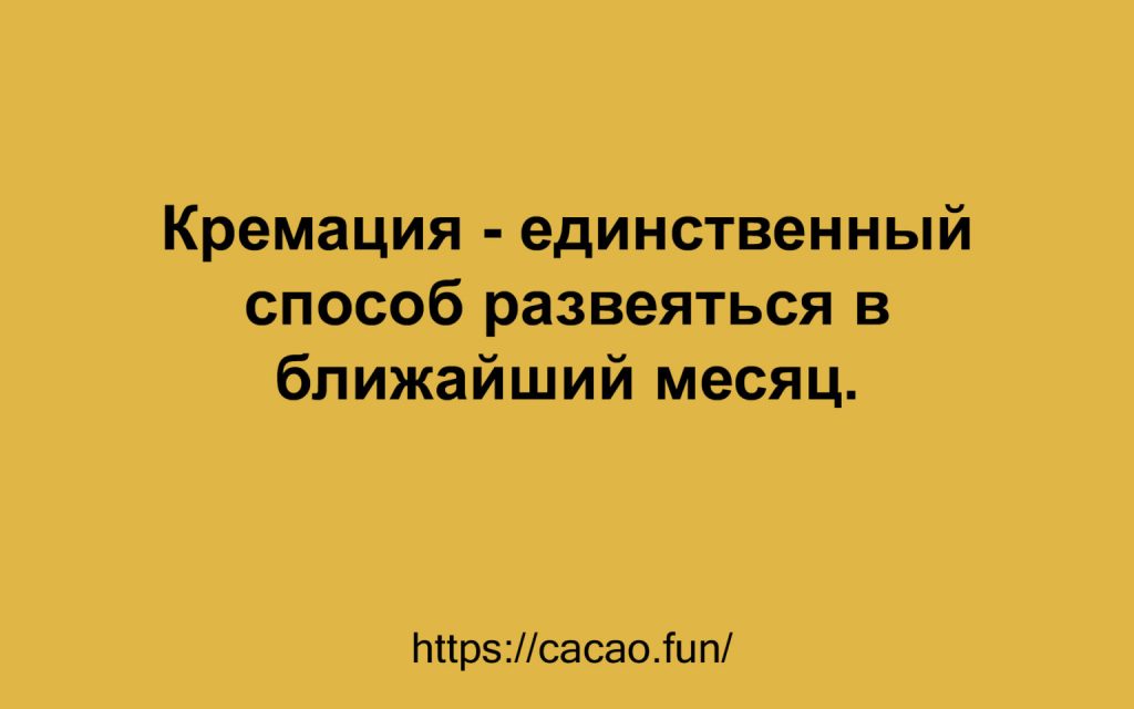 Новая десятка анекдотов: смешно и со вкусом Новая десятка анекдотов: смешно и со вкусом