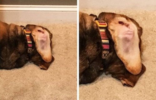 22 прикольные фотографии, на которые придётся взглянуть дважды 22 прикольные фотографии, на которые придётся взглянуть дважды