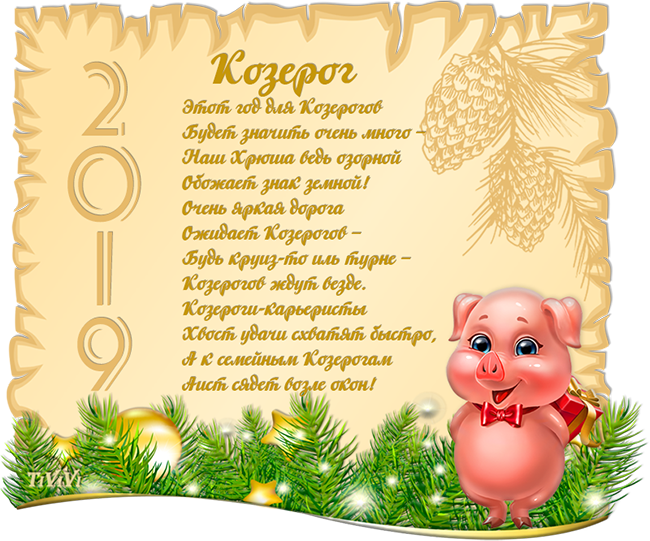   2019
