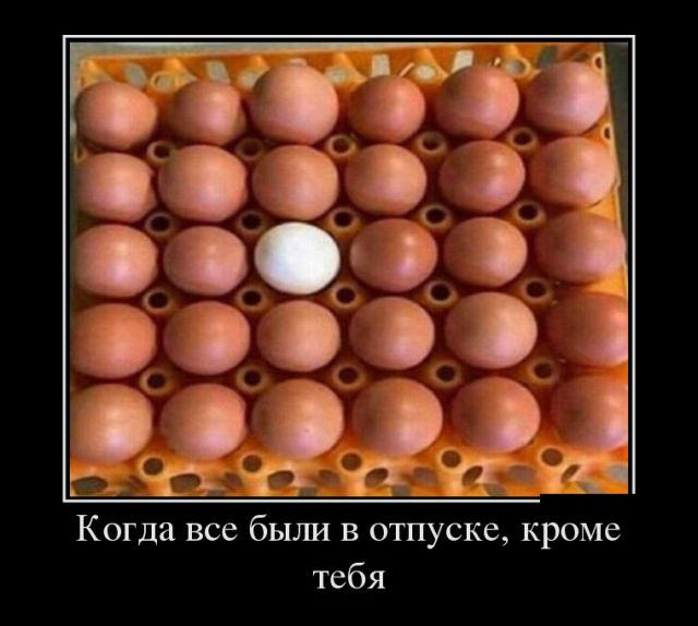 Свежайшие демотиваторы для отличного настроения Свежайшие демотиваторы для отличного настроения картинки