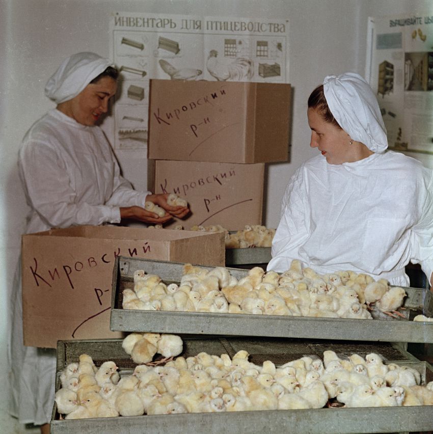 Советские лица в фотографиях Семена Фридлянда ностальгия, лица, ссср, люди