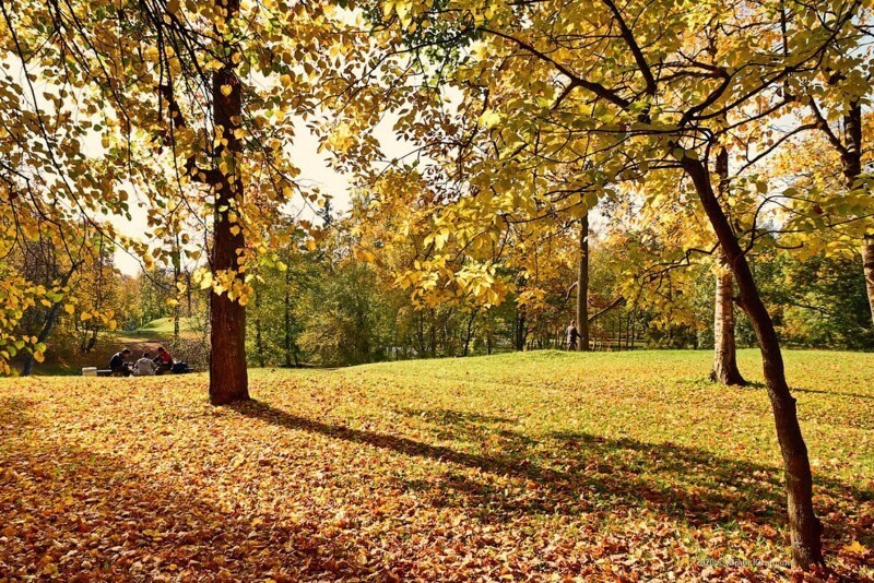 Бесподобный Гатчинский парк осенью Гатчина,Ленинградская область,осень