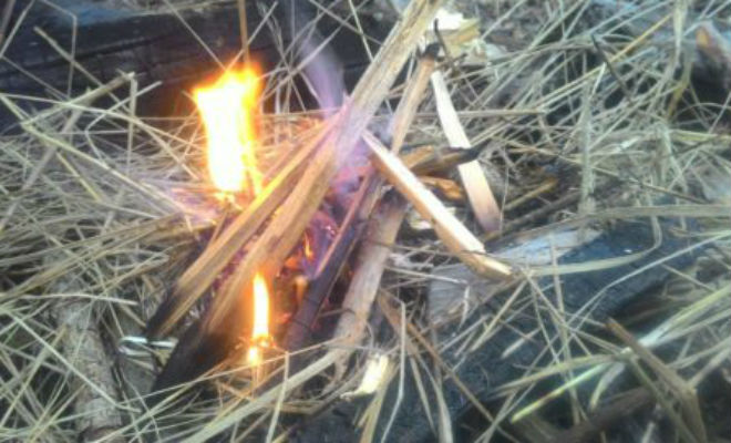 Добываем огонь в сыром лесу, когда все дрова мокрые. Без жидкости для розжига выживание,лес,огонь,трение,Тренинг