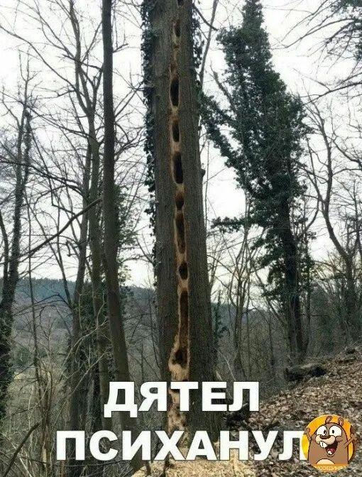 Прикольные свежие картинки с надписями 