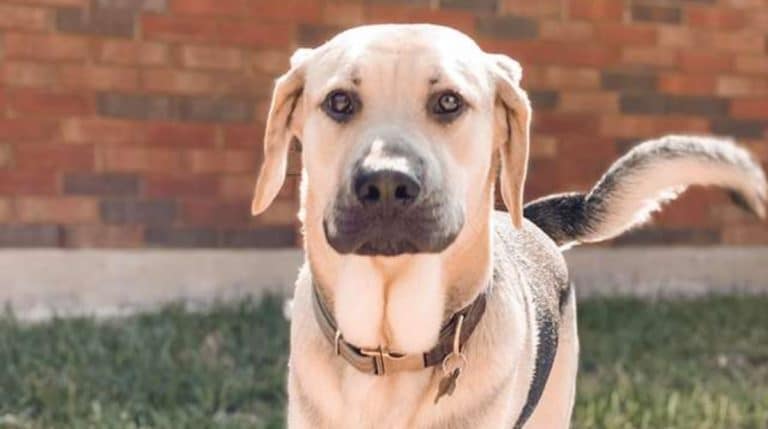 BeFunky-collage (20)