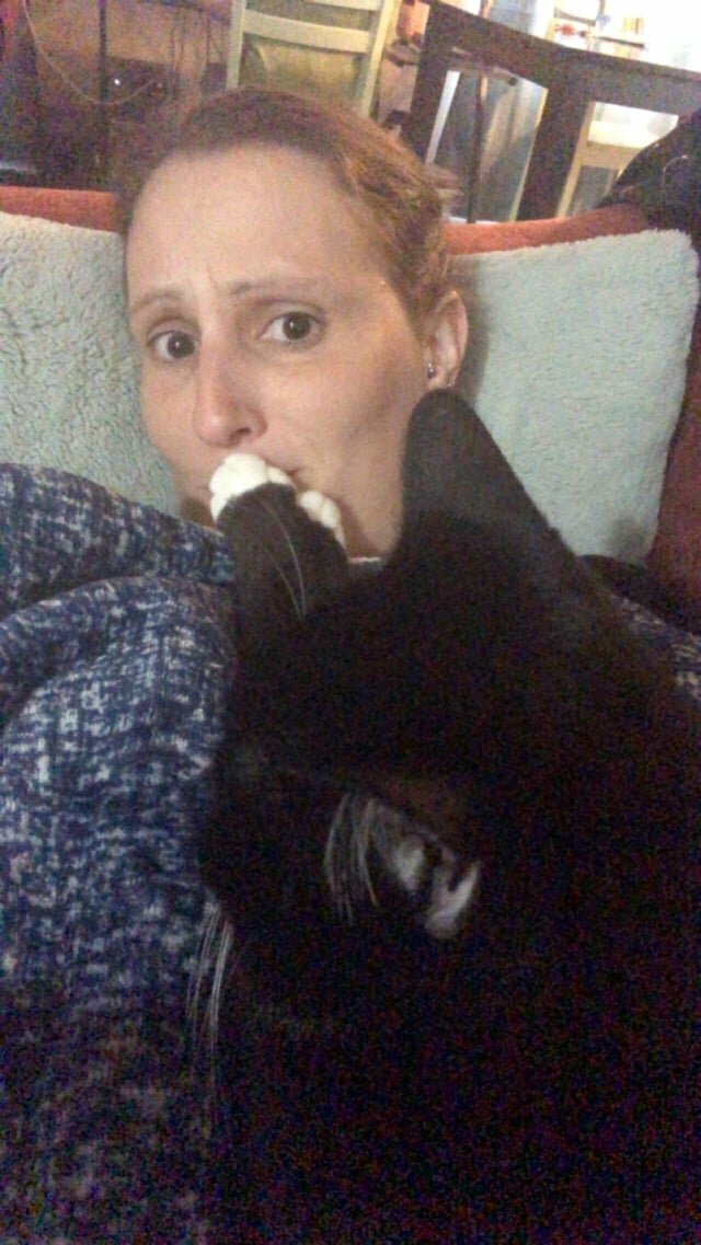 Наглые морды и туши, командующие в наших домах 