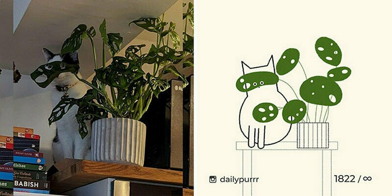 15 работ художника, который перерисовывает смешные мемы с кошками