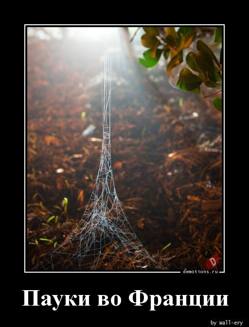 Прикольные демотиваторы: «Теперь понятно…» 