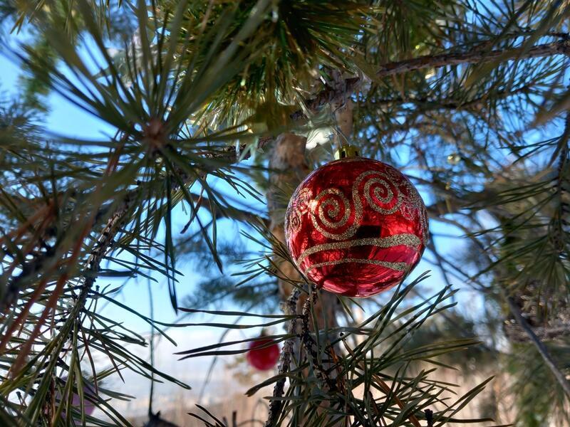 Мэр Читы рассказала, что Новый год в городе будет посвящен русским сказкам