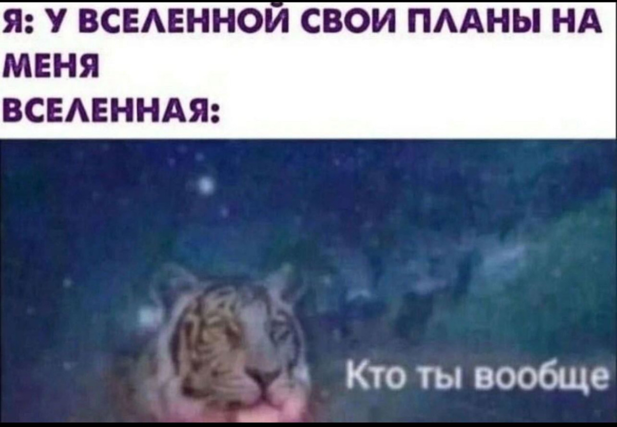 Смеяться разрешено: порция здорового сарказма в мемах и смешных картинках Смеяться разрешено: порция здорового сарказма в мемах и смешных картинках