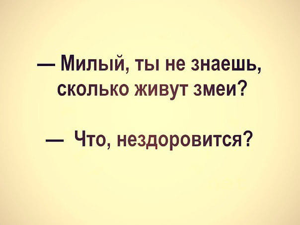 В аптеке:  — У моего мужа проблемы с эрекцией. У вас есть какие-нибудь таблетки?… Юмор,картинки приколы,приколы,приколы 2019,приколы про