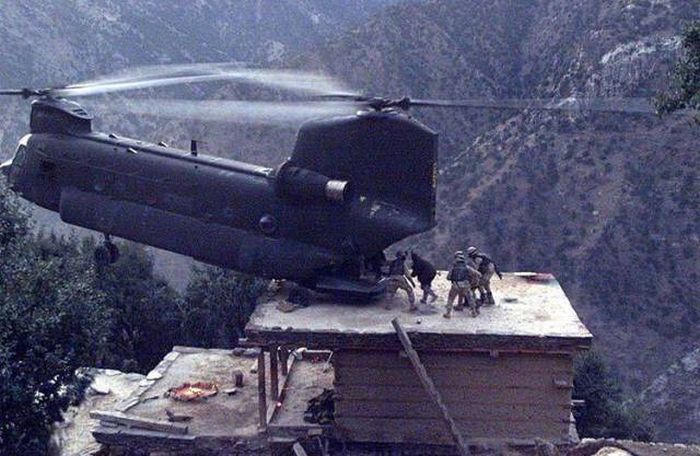 Подборка картинок. Дневной выпуск (52 фото)