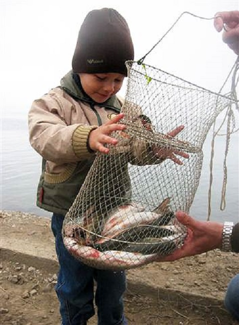 Ловля красноперки на хлеб с поверхности воды