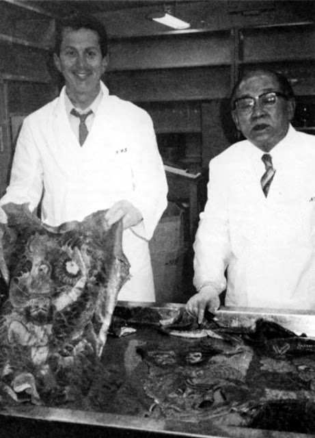 Захватывающая дичь: коллекция татуированной человеческой кожи Фукуси Масаити 