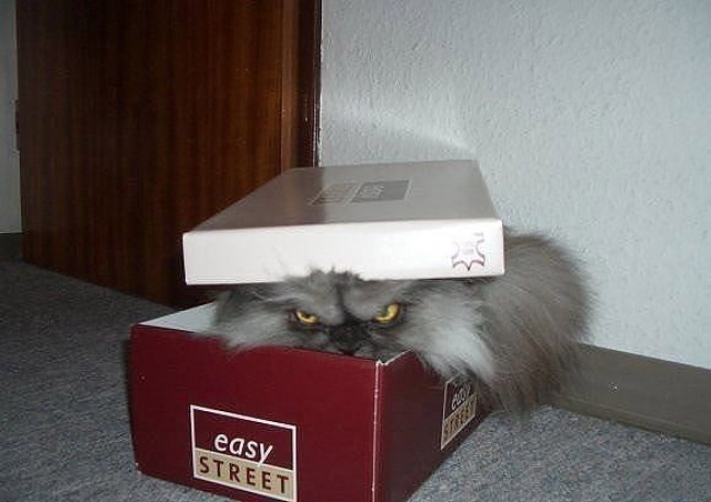 12 историй о сюрпризах, которые нам подкидывает жизнь 12 историй о сюрпризах, которые нам подкидывает жизнь Жизнь,Истории,Отношения,проблемы