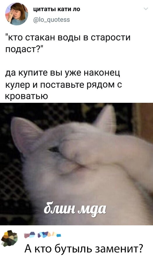 Ржачные картинки и позитивные фото с надписью из сети картинки с надписями,красивые фотографии,приколы,прикольные картинки,угарные фотки,фото приколы,юмор