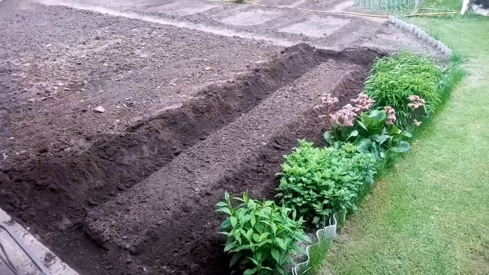 Лайфхак огороднику: Сажаем огурцы под пленку и забываем про полив на весь сезон дача,овощи,полезные советы,сад и огород