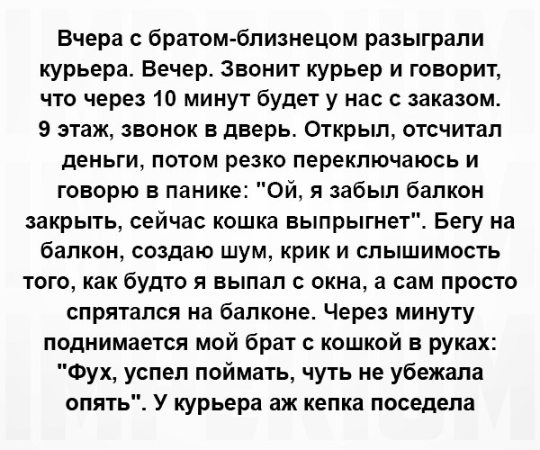 Забавные, смешных и прикольные фотографии с надписью для хорошего настроения 