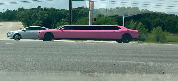 Прикольные картинки. Вечерний выпуск (87 фото)