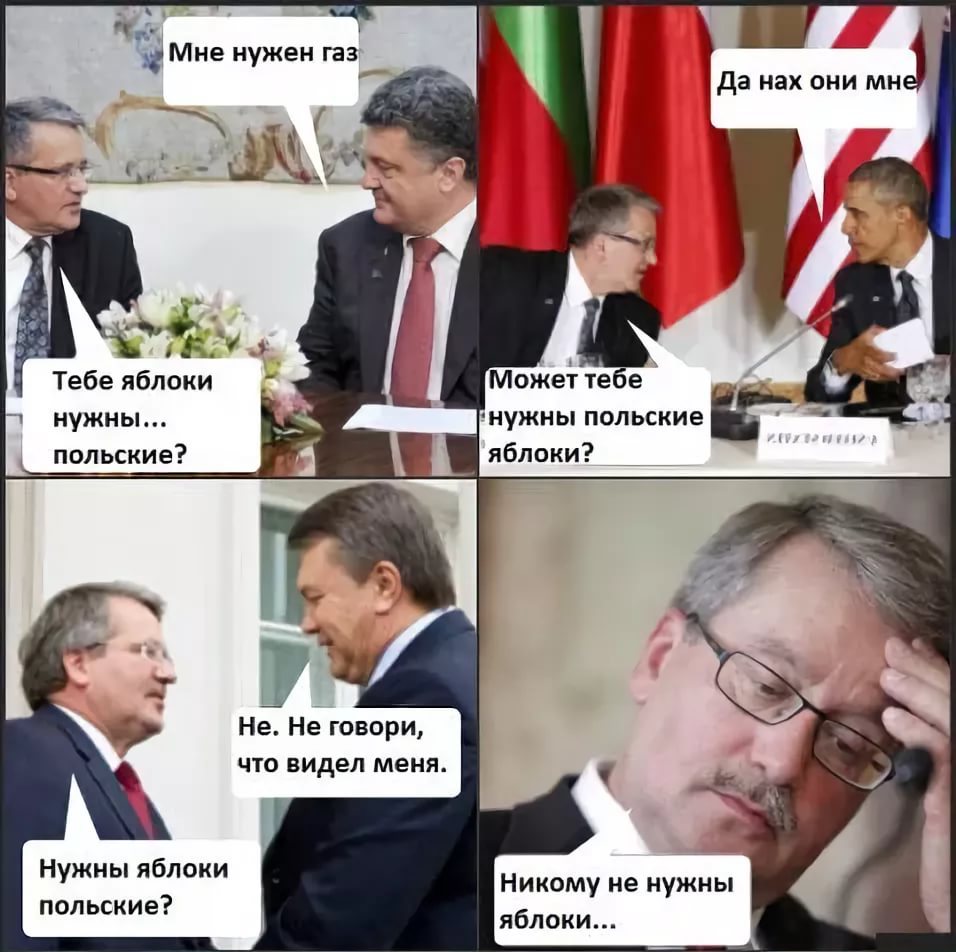 Прикольная днем, смешные картинки на польском