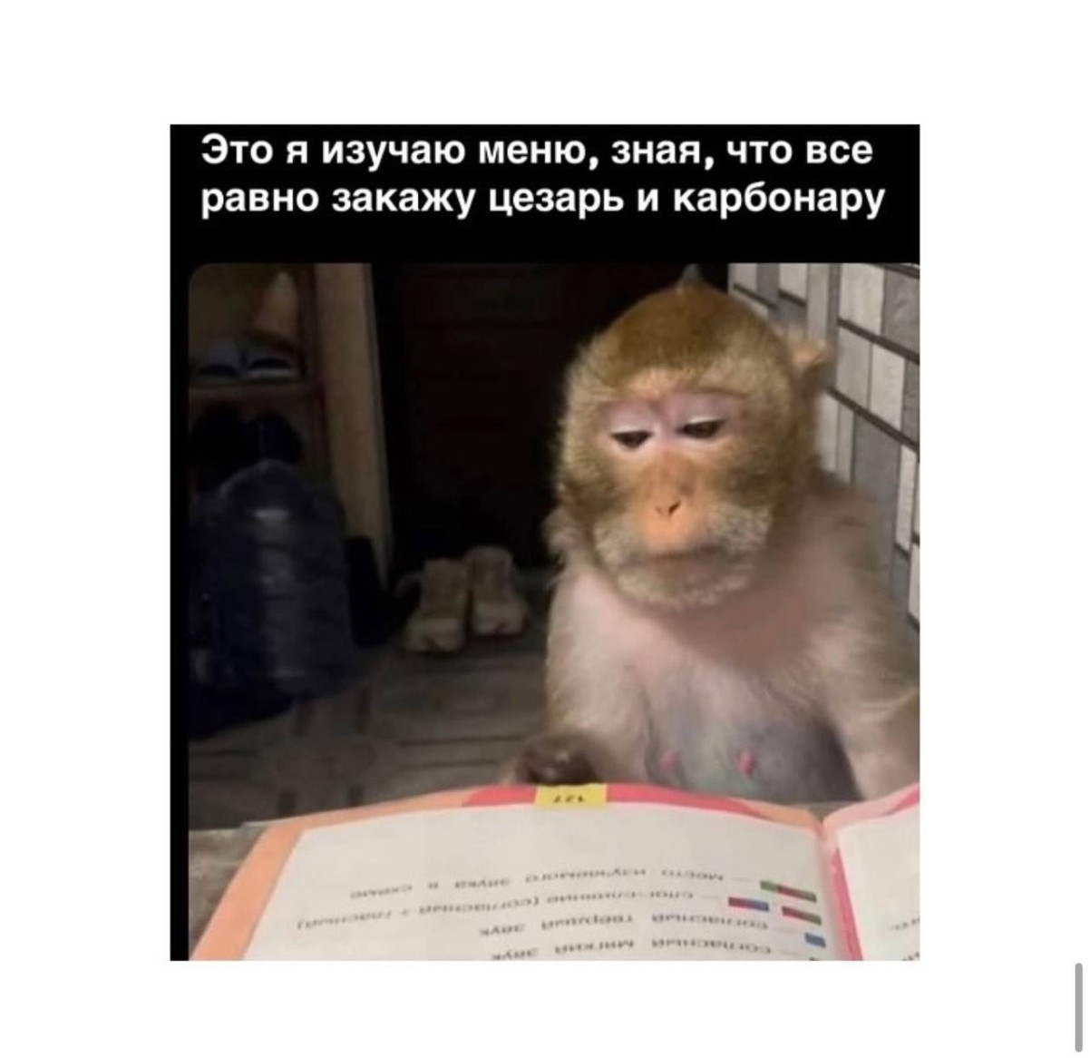 Бодрые, смешные картинки с надписями для хорошего настроения Бодрые, смешные картинки с надписями для хорошего настроения