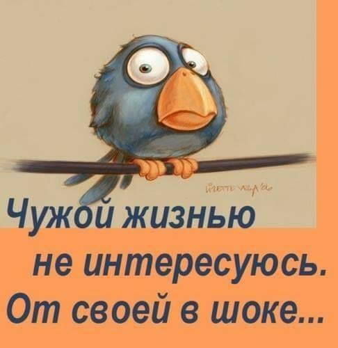 Папа приходит в детский сад забирать своего сына.  Воспитательница ему жалуется... Весёлые,прикольные и забавные фотки и картинки,А так же анекдоты и приятное общение