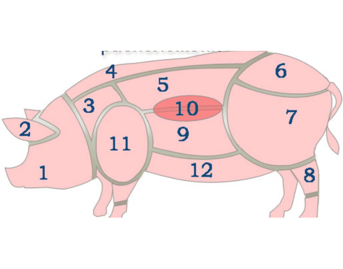 Свино карты. Схема разделки свиной туши туши. Схема разруба туши свинины. Схема разруба туши свиньи. Части туши свиньи кострец.
