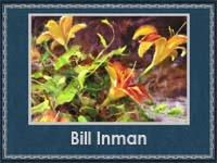 Bill Inman 