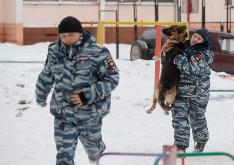 В Челябинске спасли служебную собаку, отравившуюся наркотиками во время обыска притона наркомания, полиция, собака, спасение, челябинск