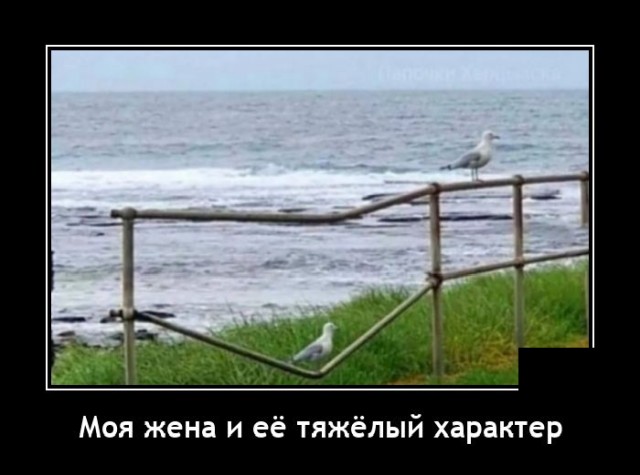 Демотиваторы 17 января 2022 года