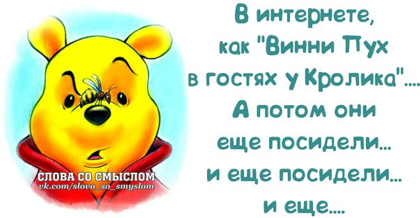 - Что главное в боксе?- Шубы!- Что?! Какие еще шубы?!- Шелые передние шубы! веселые картинки