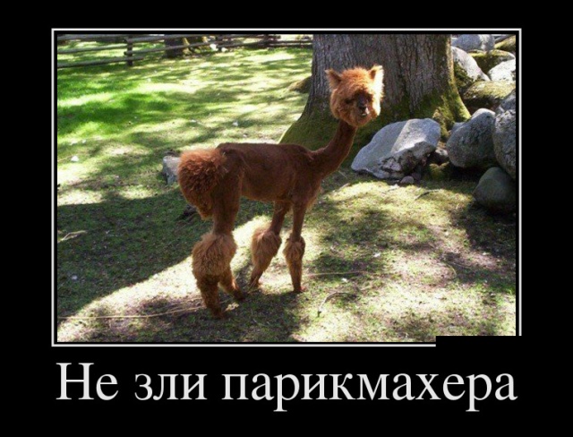 Обувь может многое рассказать о человеке. Если обувь тычится вам в бока и в лицо, то её хозяин чем-то крайне взволнован, например ...)) Обувь может многое рассказать о человеке. Если обувь тычится вам в бока и в лицо, то её хозяин чем-то крайне взволнован, например ...)) анекдоты