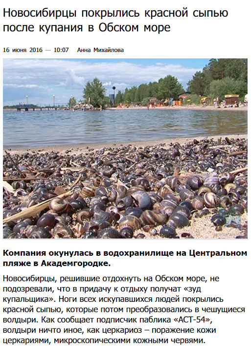 А купание порой может привести к неприятным последствиям купаться запрещено, пляжи россии, природа, россия, фото
