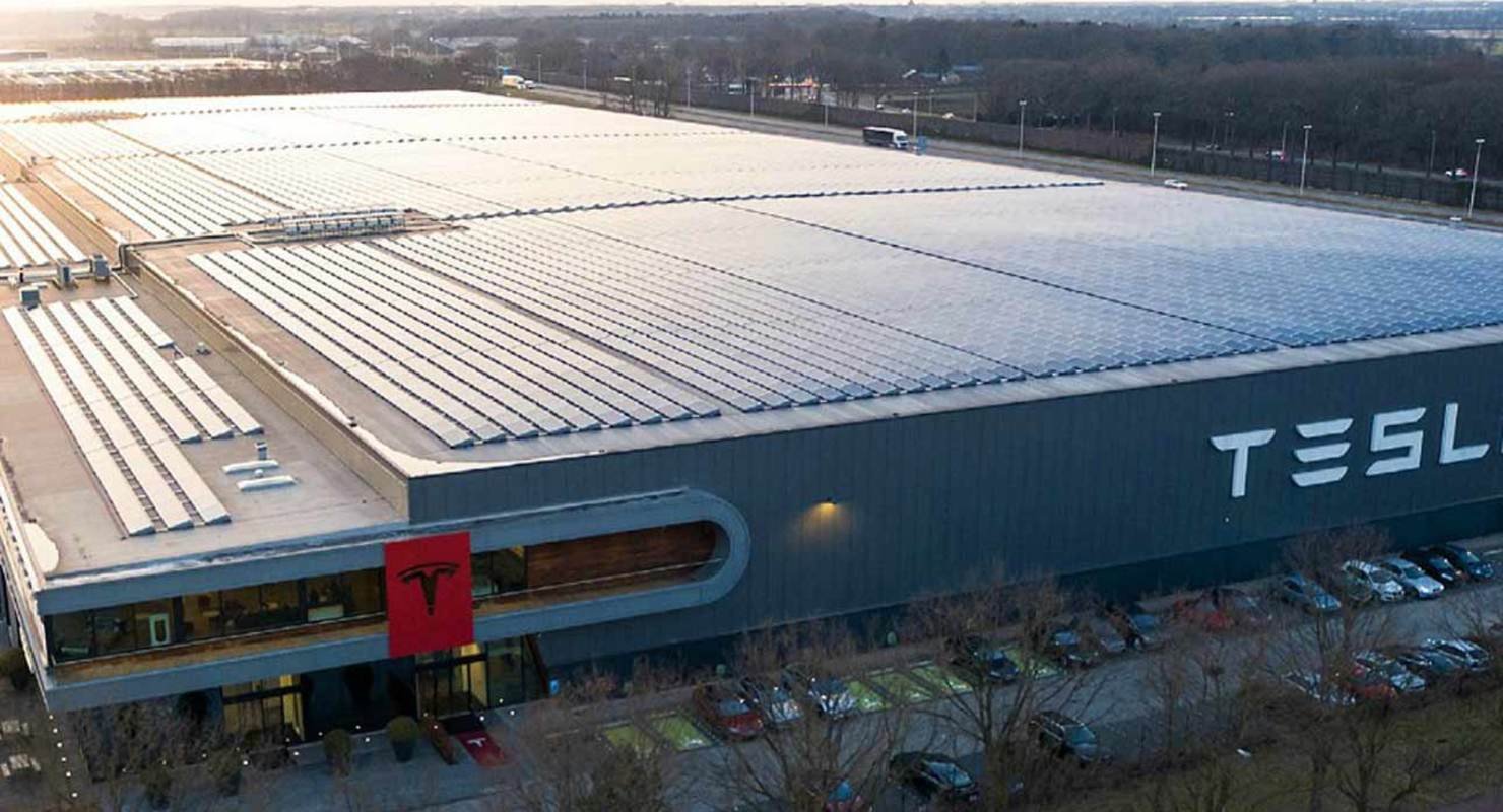 Экологи в Германии выступают против строительства завода Tesla