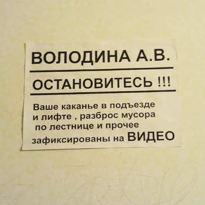 Когда с соседями «повезло»﻿