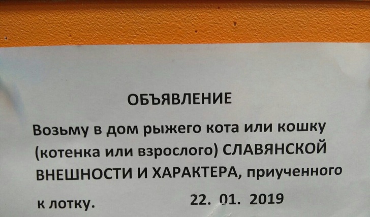 18 смешных объявлений, которые непредсказуемы, как жизнь в России 