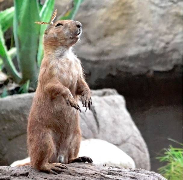 Подборка картинок. Вечерний выпуск (57 фото)