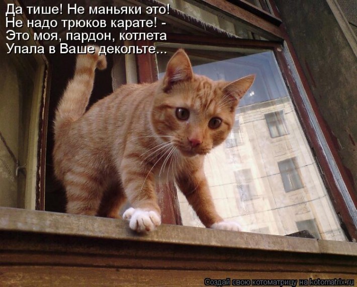 Мысли вслух :) №8314