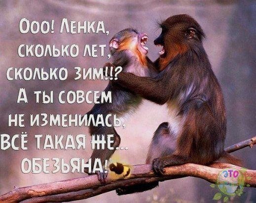 Смотреть клевые картинки 