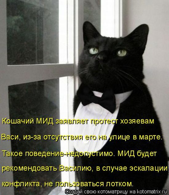 Смешные и веселые фотографии с картинками со смыслом Смешные и веселые фотографии с картинками со смыслом